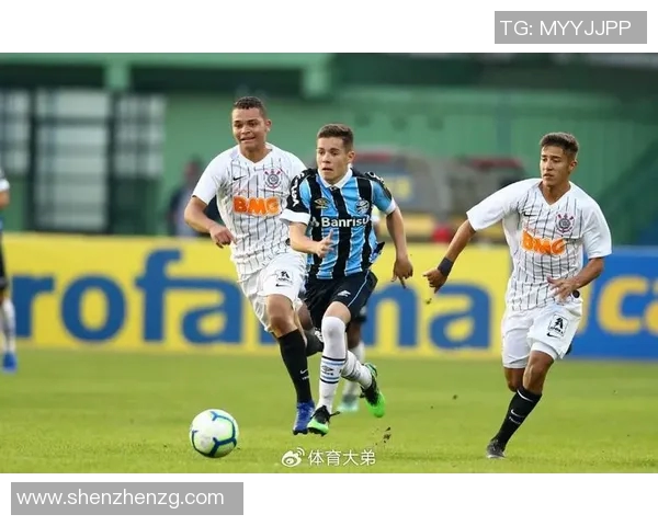 科林蒂安主场迎战福塔雷萨激战2019年11月6日精彩回顾与分析