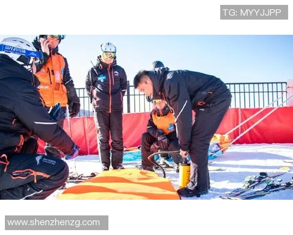 运动员成长之路：从初出茅庐到站上世界巅峰的奋斗与坚持