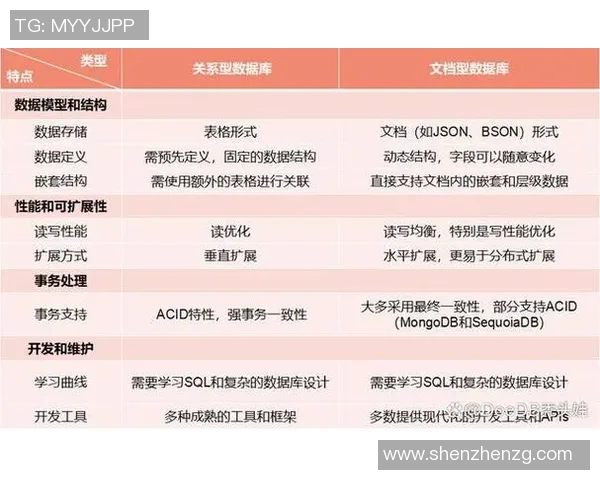 深入探讨上海篮球队实力表现的数据分析与未来发展潜力