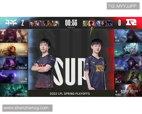 赛后深度解析：RNG与JDG对决中的战术博弈与团队协作