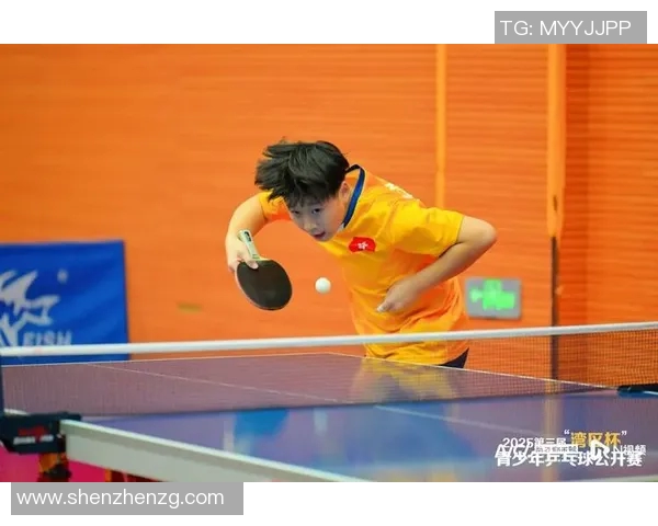 乒乓球力量榜单揭晓深圳乒乓球队荣登第七名引发关注
